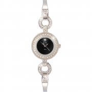 Limit  black dial stainless steel bracelet Ladies watch 6729